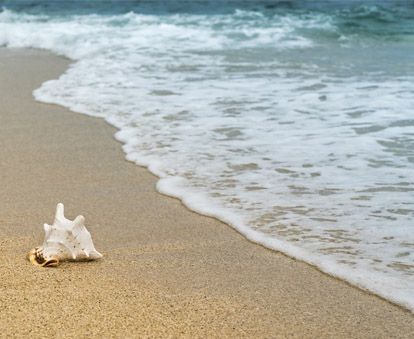 Επισκεφτήκαμε τις πιο όμορφες παραλίες κοντά στην Αθήνα!