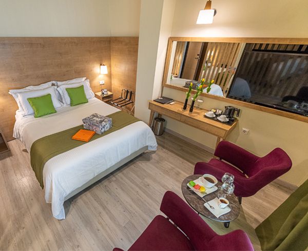 EXECUTIVE ΔΩΜΑΤΙΑ